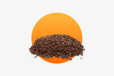 Nibs de Cacau